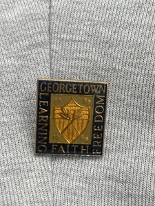 Hawaii Emblem City & County of Honolulu SOUVENIR LAPEL PIN - Picture 1 of 7