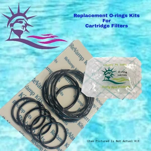 FILTRO DE CARTUCHO HAYWARD® STAR-CLEAR™ (25, 50, 75, PIES CUADRADOS) 65222 POR LIBERTAD - Imagen 1 de 1