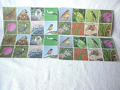 Spiel Memory Spiel  NABU 32 Karten Esterauniederung Lebensraum für Kiebitz & Co - Bild 1 von 2