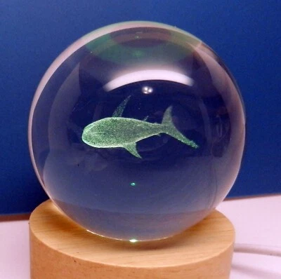 Color Changing Led Crystal Ball Wood Base Shark Night Light Home Decor - Image 1 of 4