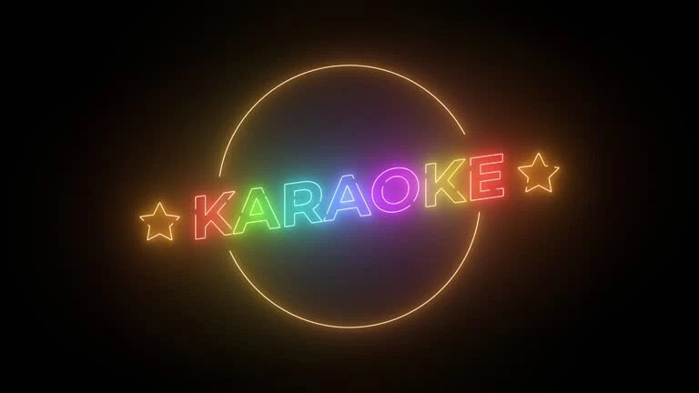 16 Gb Videos De Karaoke De Todos Los Géneros - USB LLENAS DE VIDEOS ORGANIZADA - Image 1 of 1