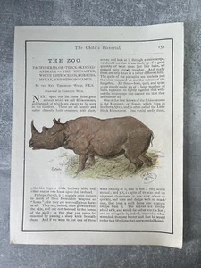 El zoológico - Rinoceronte, hipopótamo, etc. - 1890 - Arte de libro por Harrison Weir - Imagen 1 de 4