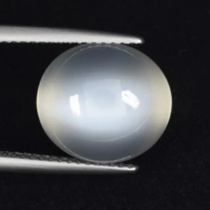 8,45 ct MEJOR GRADO BLANCO LECHOSO PIEDRA LUNA NATURAL OJO DE GATO Cabujón Ver VdoSPL - Imagen 1 de 3