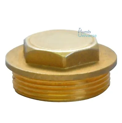 Brass Flanged Plug Male Stop End Cap Threaded BSP 1/8 ,1/4 /,3/8 ,1/2 ,3/4  ..2  • 2.99£