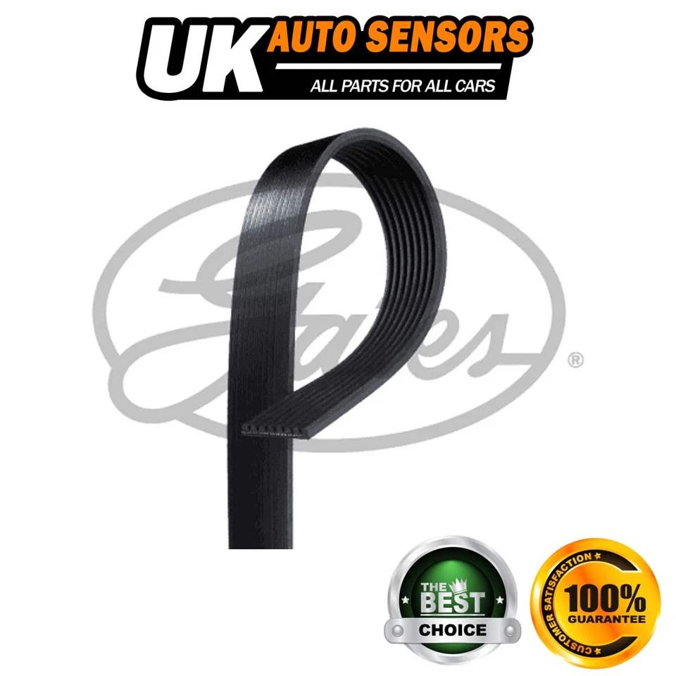 Se adapta a correas acanaladas en V Gates para Jeep Grand Cherokee (1999-2001) -6635 Foto 1 de 4