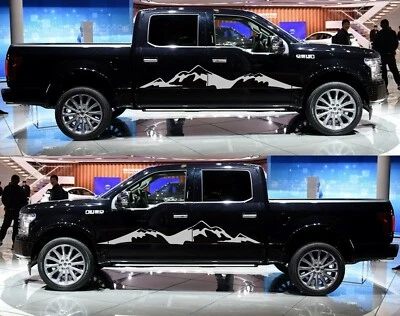 Vinilo Adhesivo Puerta Lateral Deportiva para Ford F150 F-150 2 Piezas Patrón Personalidad Foto 1 de 4