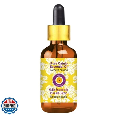 Deve Herbes Pure Catnip Essential Oil (Nepeta cataria) Steam Distilled with G - Image 1 of 4