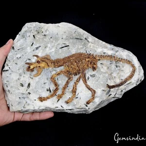 4.8 Kg Rough Dragon Fossil replica on Rutilated Quartz Rare Home Decor Specimen - Picture 1 of 8