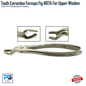 Pinza dentale estrazione radici Fig 67A per pinze chirurgiche saggezza superiore - Foto 1 di 9