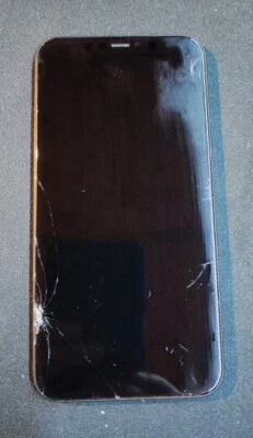 Apple Schermo con Cornice per iPhone 11 - Vetro Crepa - LCD E Touch OK - Imagen 1 de 4