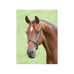 Shires Velociti GARA Cavesson Noseband - Leather - Black/Brown - Picture 1 of 3