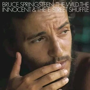 1973 Bruce Springsteen The Wild The Innocent [First Pressing] NM Vinyl LP Record - Picture 1 of 5