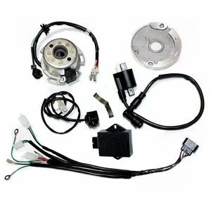 Magneto Stator Wiring Harness Loom LIFAN W150 150cc PIT PRO Dirt Bike - Picture 1 of 11