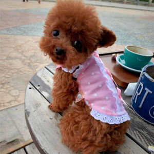 XXXS Puppy Cat Lace Dress Shirt Small Pet Dog Clothes Yorkie Maltese Apparel XXS