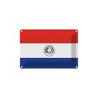 Blaszany znak Znak ścienny 18x12 cm Paragwaj Flaga Flaga Prezent Dekoracja