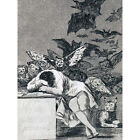 De Goya The Dream Of Reason Brings Forth Monsters Extra Large Art Poster