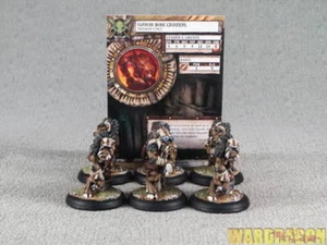 30mm Hordes WDS painted Minions Farrow Bone Grinders r53 - Picture 1 of 10