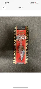 Lucky Craft LC 1.5D-9 Slow Sink 1/2oz 2 3/8” Zebra MS Ghost Minnow. - Picture 1 of 2