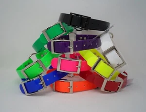 110D Ring-In-Center 1"  SunGlo for Hunting Dogs or Pets "Free Brass Nameplate" - Picture 1 of 11