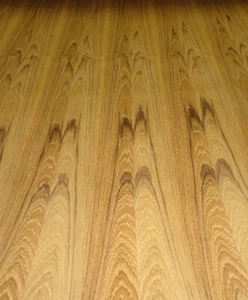 Hoja de chapa de madera de corte plano de teca 48"" x 96"" con soporte de madera 1/25"" de espesor grado A - Imagen 1 de 12