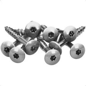 100x MEISTERLING FASSADENSCHRAUBEN INOX V4A 5,5 x 25 MM FLACHKOPF TORX T20 BLANK - Bild 1 von 5