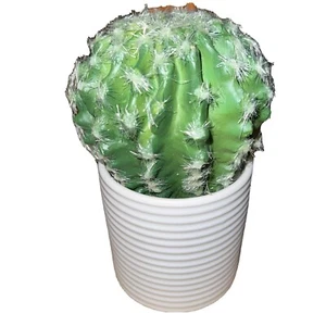 Faux Cactus by Hilton Carter in a White Stiped Textured Flower Pot. - Picture 1 of 4