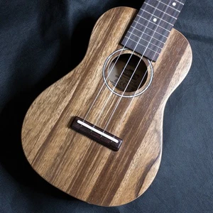 Vox Vup-33-Sbl Concert Rechargeable Pre - Picture 1 of 8