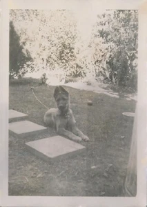Schnappschuss Vintage Foto süßer deutscher Schäferhund Haustier Tier Ball Hof draußen - Bild 1 von 6