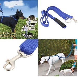  Guinzaglio addestramento cane pettorina nylon Blu passeggio corsa jogging cani 