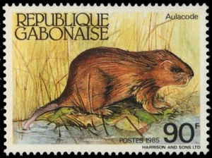 GABON 581 - African Wildlife "Aulacode" (pb30069) - Picture 1 of 1