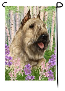 Frühlingsblumen Gartenfahne - Weizenbouvier des Flandres - Bild 1 von 1