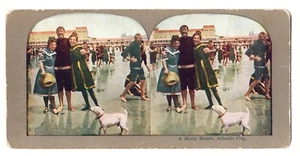 1900s A MERRY BUNCH, ATLANTIC CITY Bulldog Swimsuits Seaside STEREO VIEWER CARD - Bild 1 von 6
