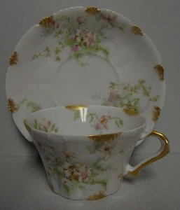 Theodore Haviland APFELBLÜTE (SCHLEIGER 146) Tasse/Untertasse 2er Set - Bild 1 von 2