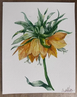 Pintura Flor Imperial Corona 8x10 Original Acuarela Impresión Foto 1 de 3