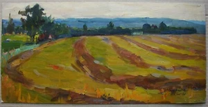 Ukrainian Soviet Oil Painting impressionism landscape village field  - Picture 1 of 5