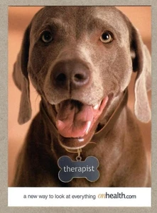 Retriever Dog Tag Therapist; Ad for website onhealth.com Max Racks Postcard - Picture 1 of 2