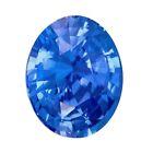 Natural Blue Sapphire Oval Cut Loose Gemstone 6x4mm Vvs Loose Gemstone 0.63 Cts