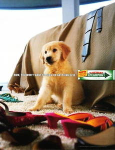 WRIGLEY'S SPEARMINT GUM AD #09 MAGAZINE promo AD 2002 VINTAGE - Picture 1 of 2