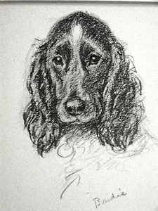 Lucy Dawson SWEET BLACK IRISH SETTER SOLEFUL EYES 1946 Vintage DOG Print Matted - Bild 1 von 4