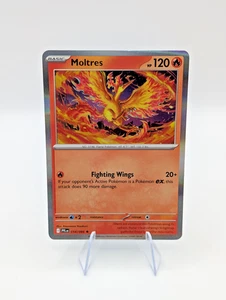 Moltres 014/094 Holo Rare Phantasmal Flames Pokémon TCG - Bild 1 von 1