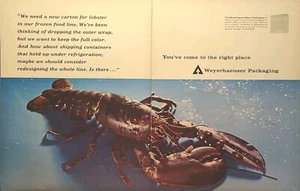 Anuncio impreso vintage de langosta Weyerhaeuser Packaging Solutions 1965 - Imagen 1 de 6