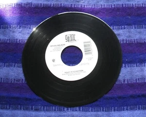 THE BEACH BOYS BRIAN WILSON - YOUR IMAGINATION / (ALT)  -GIANT 17216  45   MINT- - Picture 1 of 2