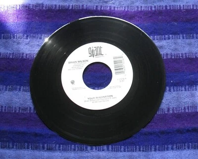 THE BEACH BOYS BRIAN WILSON - YOUR IMAGINATION / (ALT)  -GIANT 17216  45   MINT- - Image 1 of 2