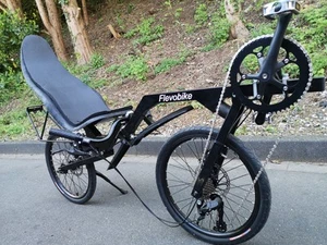 Flevobike Recumbent Bicycle Vélo couché Liegerad Liegefahrrad Flevo Bike wie NEU - Bild 1 von 15
