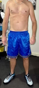 VINTAGE NIKE SHINY SILKY SATIN NYLON BOXING STYLE SHORTS - LINED - RARE - LARGE - Picture 1 of 9