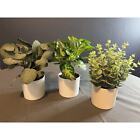 Fake Plants Potted Artificial Plants, Set Of 3 Pack Fake Plastic