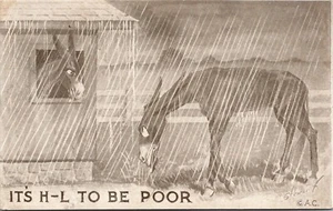 Postal firmada de Stewart de It's H-L to Be Poor Donkeys in Rain humor - Imagen 1 de 2