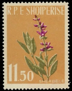 ALBANIA 615 - Medicinal Plants "Garden Sage" (pb40670) - Picture 1 of 1