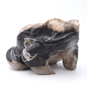 160mm Frog Hand Carved Gemstone Natural Fossilised Wood Healing Crystal Genuine - Picture 1 of 9