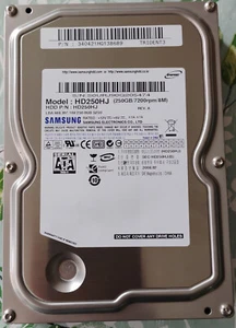Samsung HD250HJ SpinPoint - 3.5" 250 GB SATA Hard Drive 100% Funktion! - Bild 1 von 9